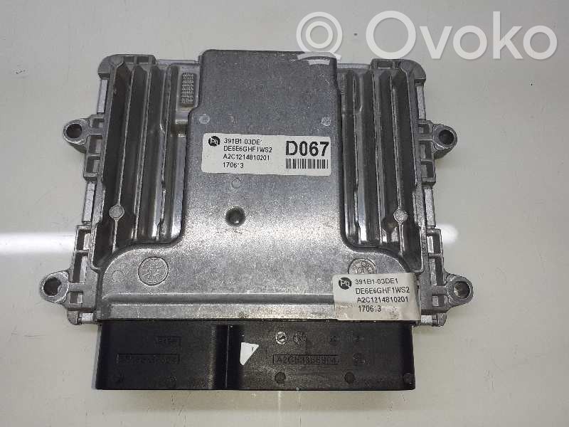 Engine control unit/module ECU   391B103DE1,A2C1214810201,DE6E6GHF1WS2