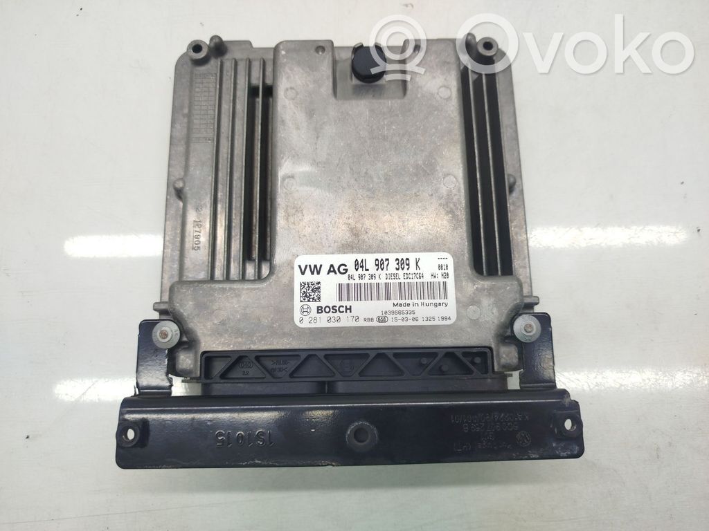 Unité de commande, module ECU de moteur   04L907309K,0281030170