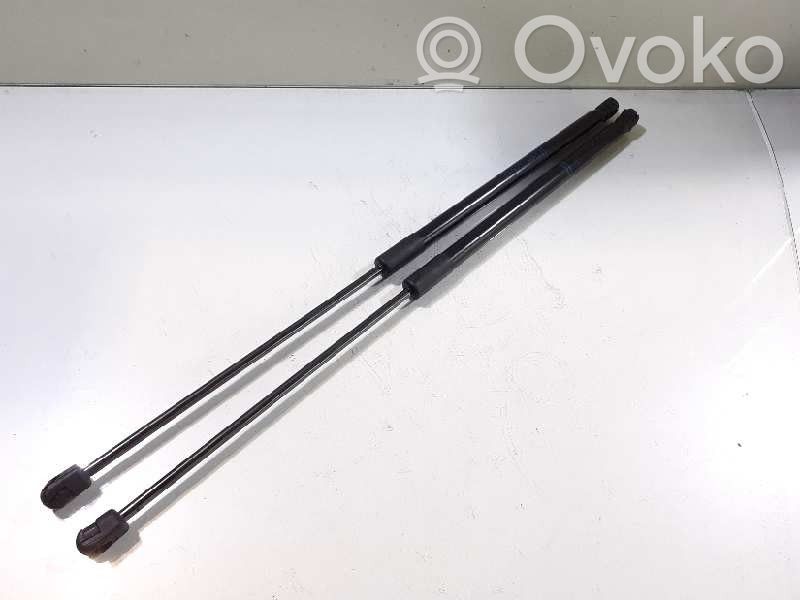 Tailgate/trunk strut/damper   132124,13428038