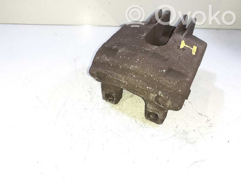 Takajarrusatula   34216758057