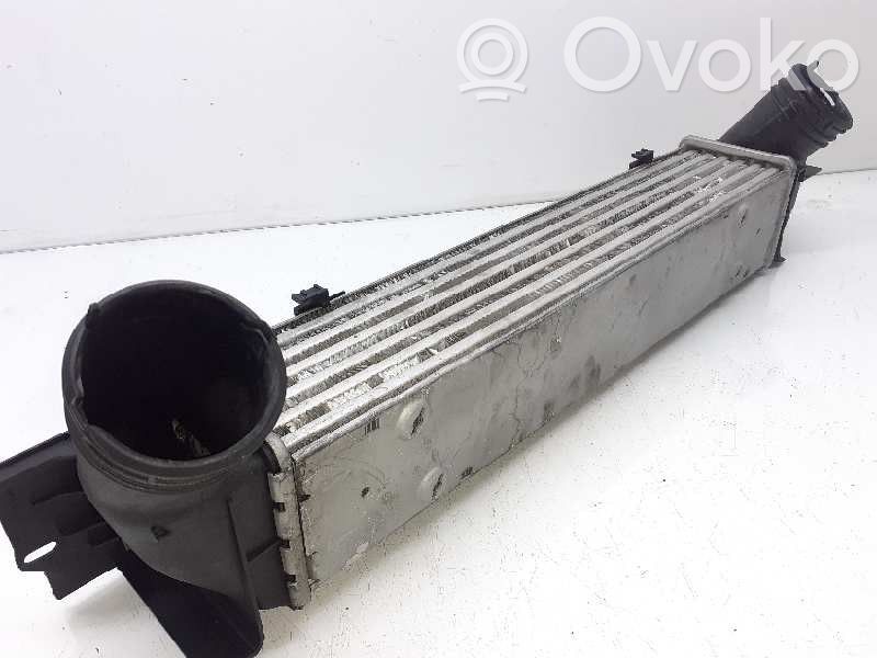 Intercooler radiator   17517524916