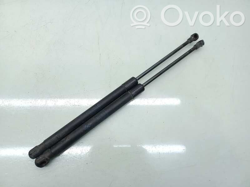 Tailgate/trunk strut/damper   51247060622,5754UY,0400N