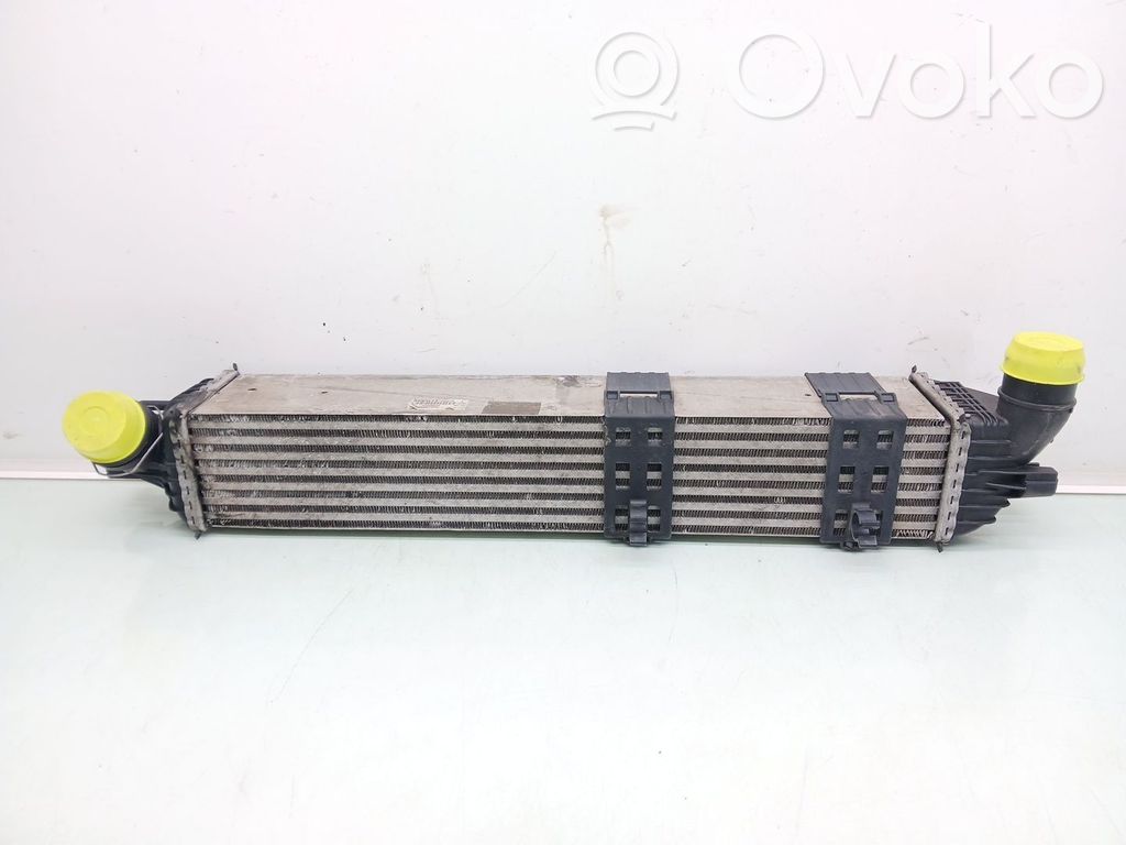 Intercooler radiator   R4546006,144960017R