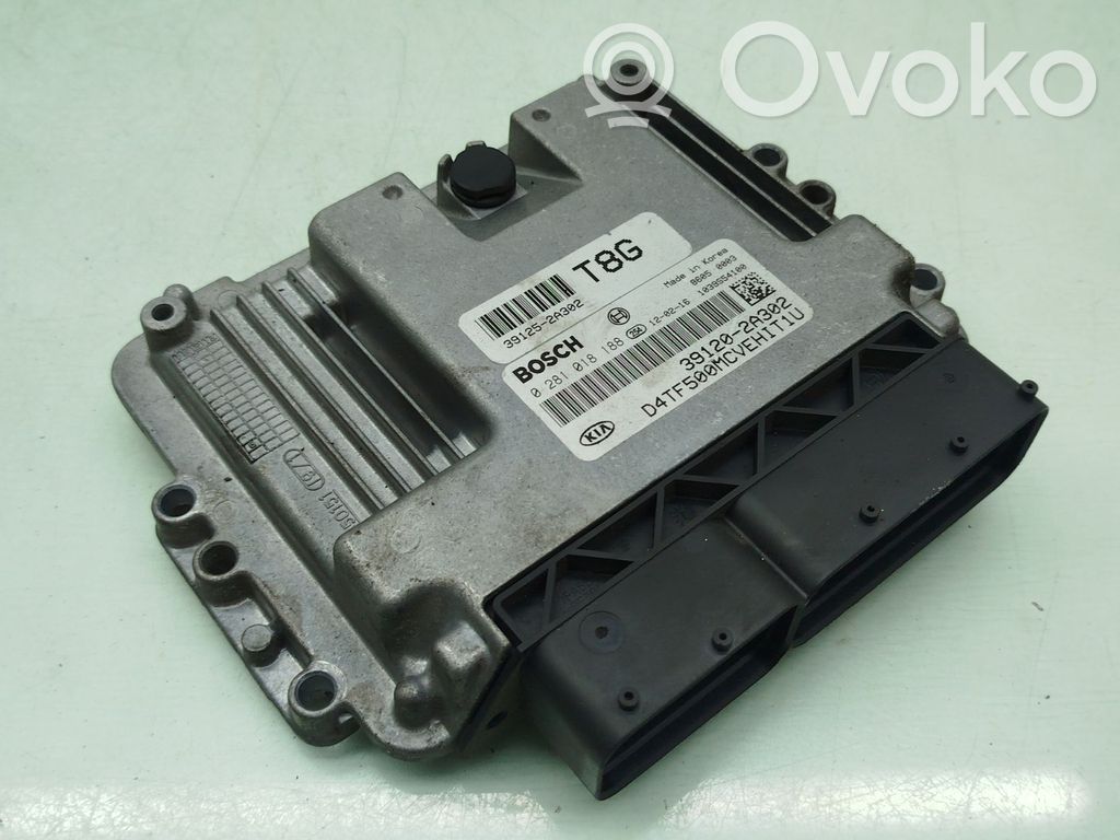 Engine control unit/module ECU   391252A302,391202A302