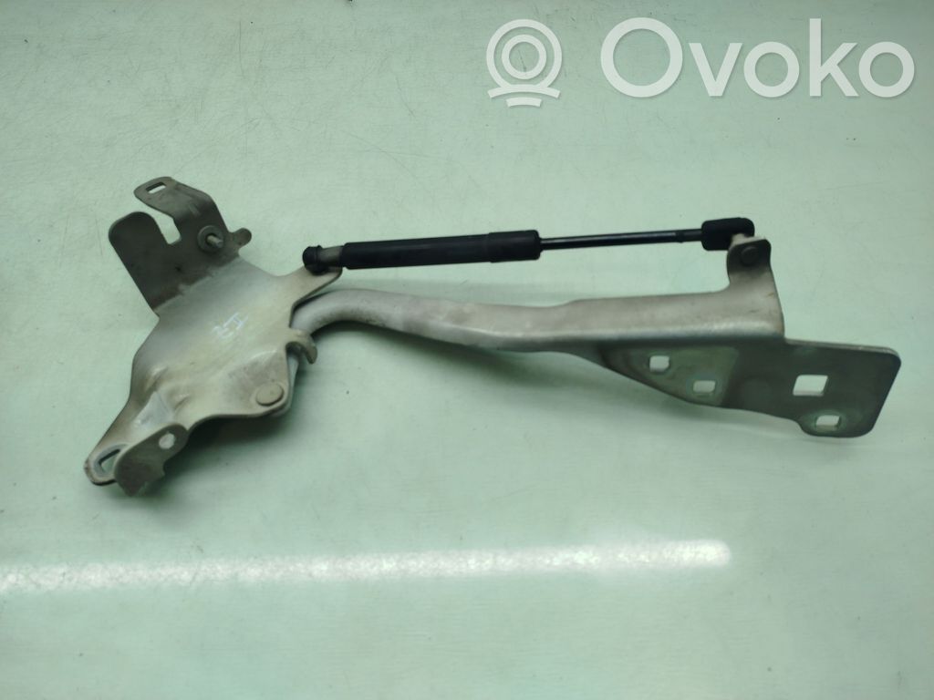 Renault Scenic III -  Grand scenic III Cerniere del vano motore/cofano 