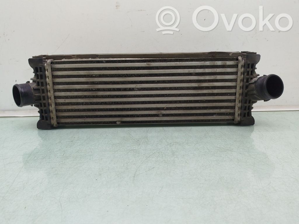 Ford Tourneo Ladeluftkühler 