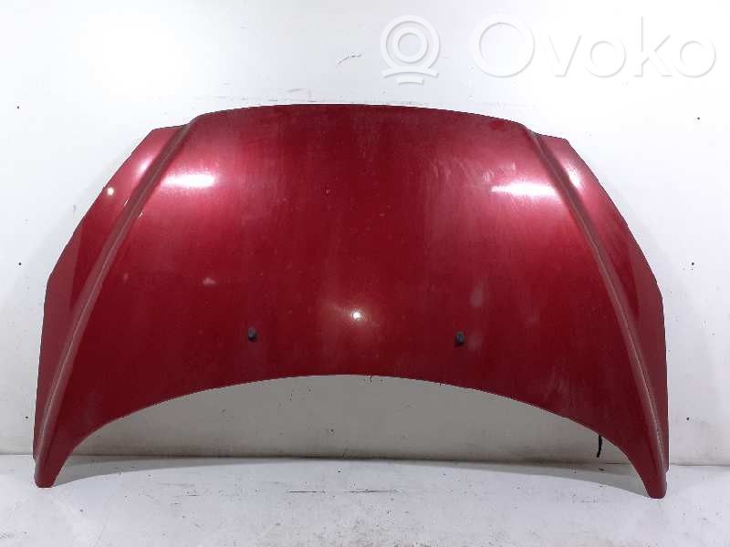 Motorhaube   7901P6