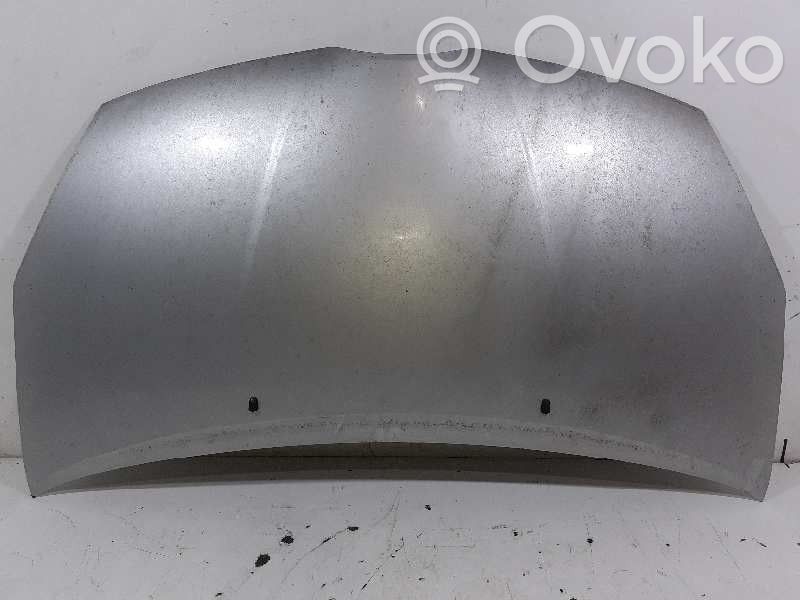 Capotă motor   533010F010