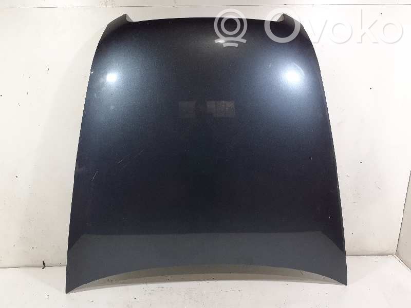 Vano motore/cofano   4F0823029F