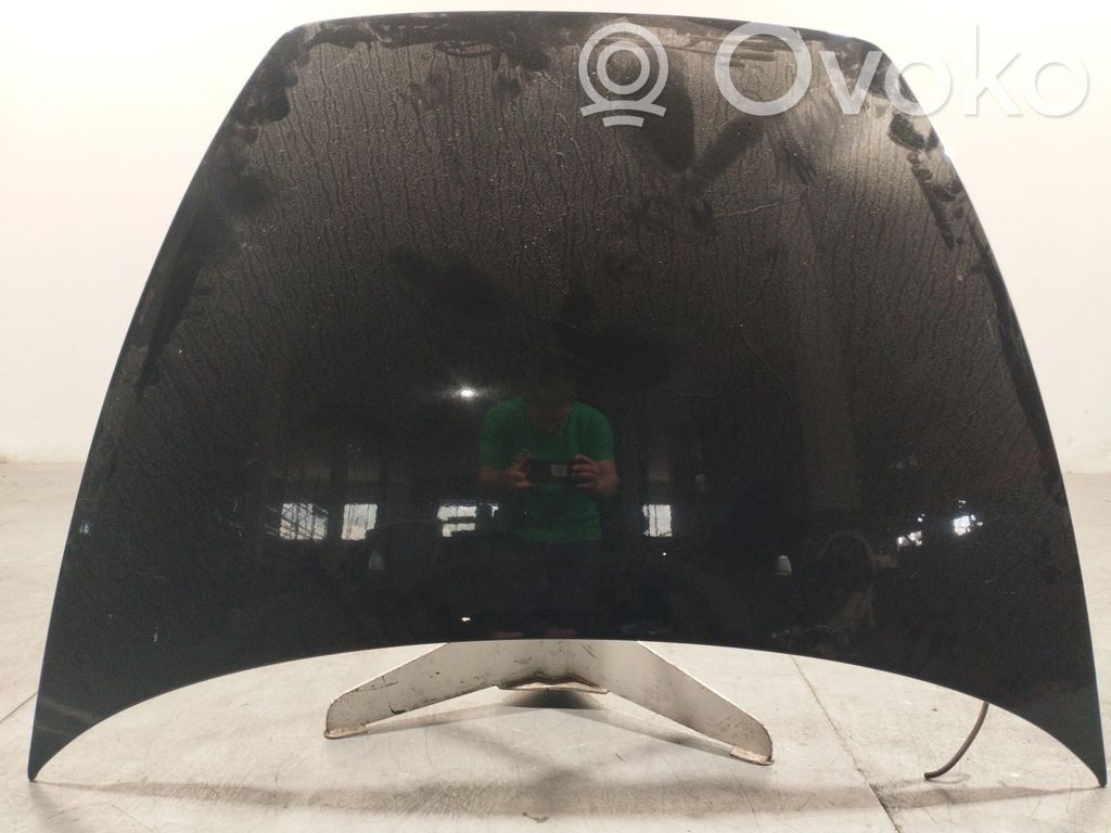 Vano motore/cofano   31371415