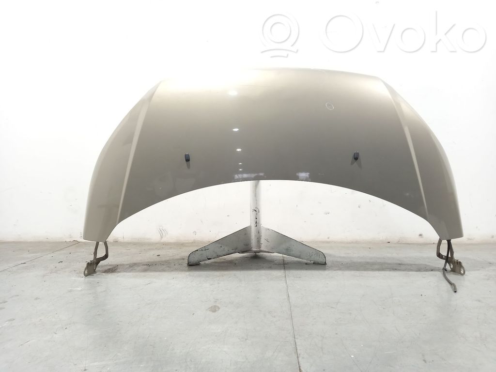 Motorhaube   1846029,PBK21A16612AC