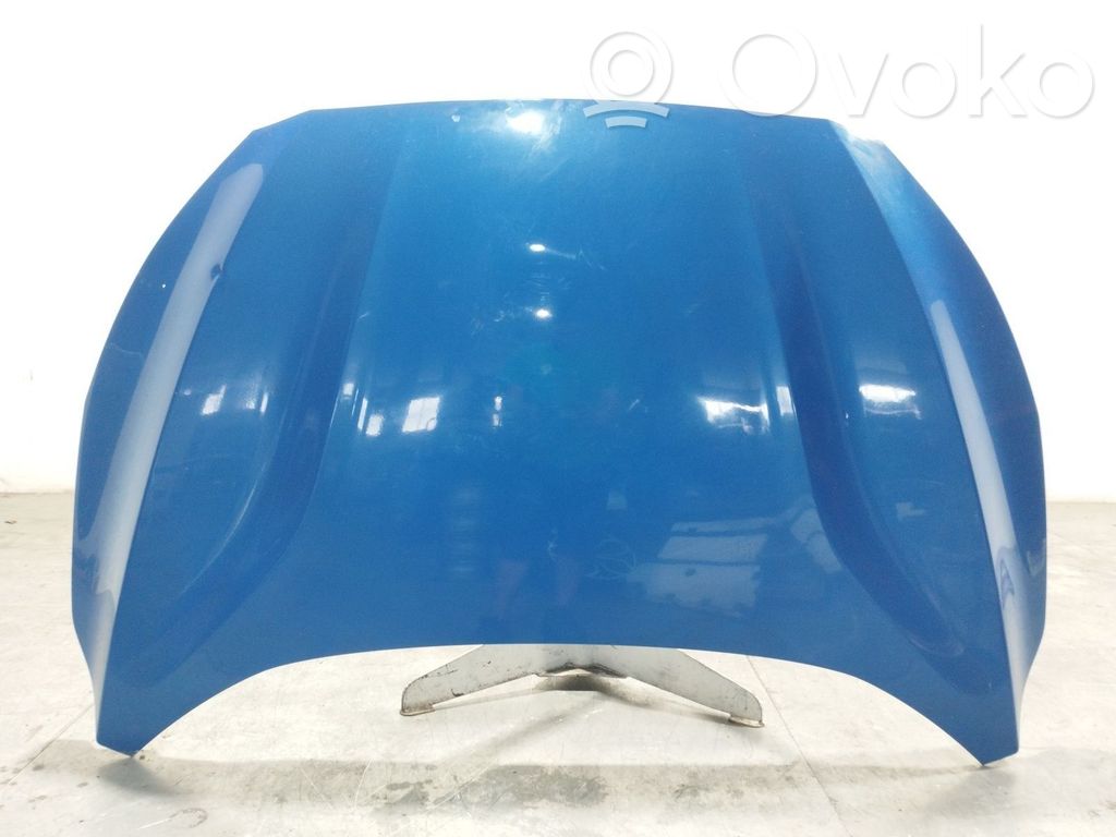 Ford Focus Motorhaube 