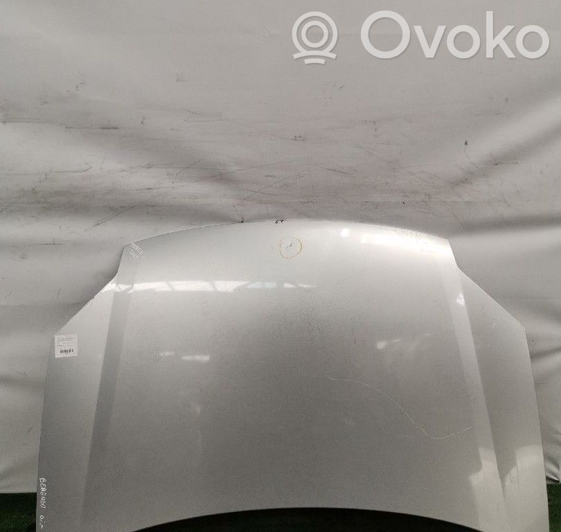 Motorhaube   00007901G0