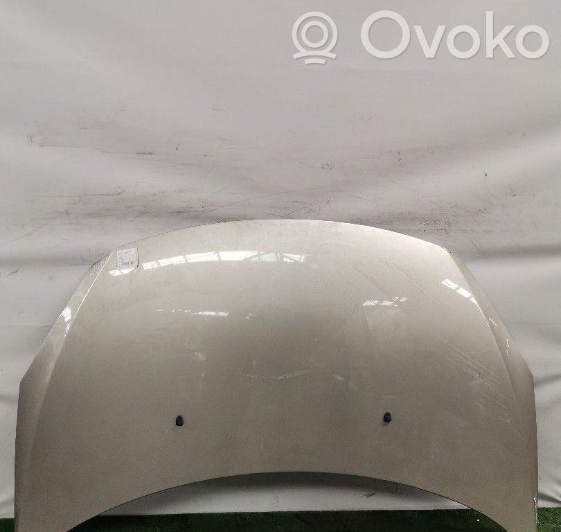 Konepelti   7901L9