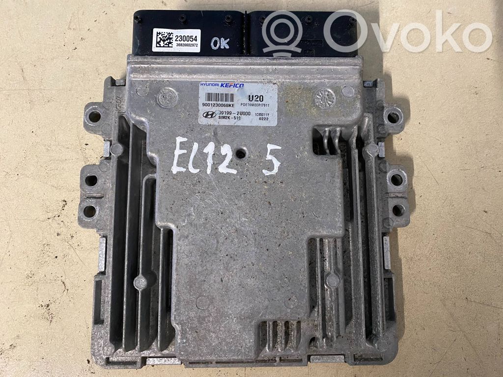 Hyundai Tucson TL Engine control unit/module 