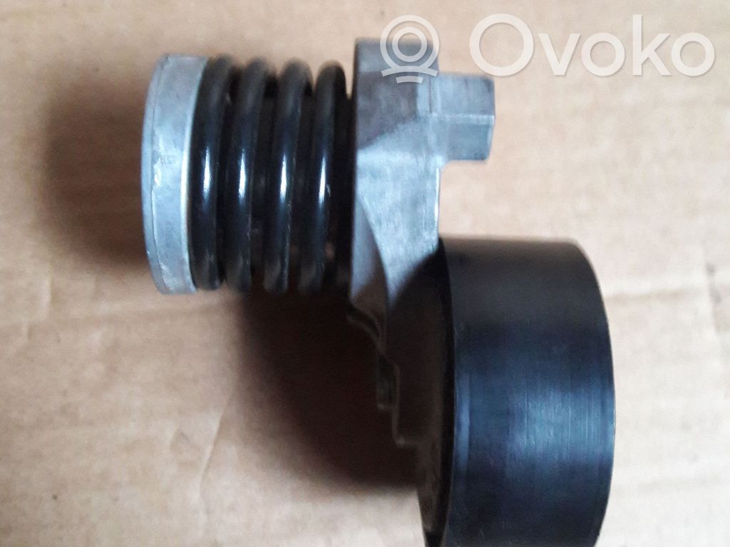 Napinacz paska wielorowkowego / Alternatora   117500113R,6563014,MUB226