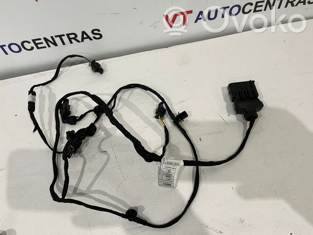 BMW iX Cableado del sensor de aparcamiento (PDC) 