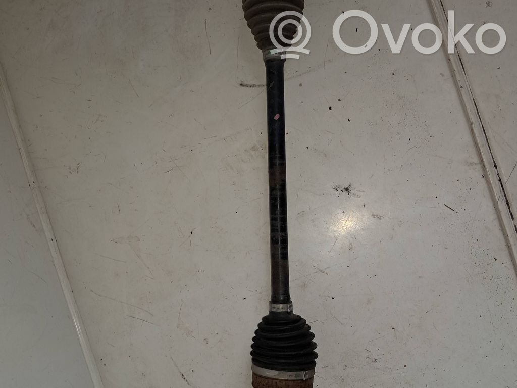 Aizmugurējā pusass   1044161,0017G72,001094