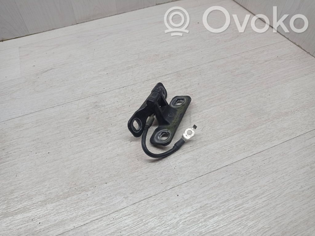 Tailgate/trunk/boot hinge