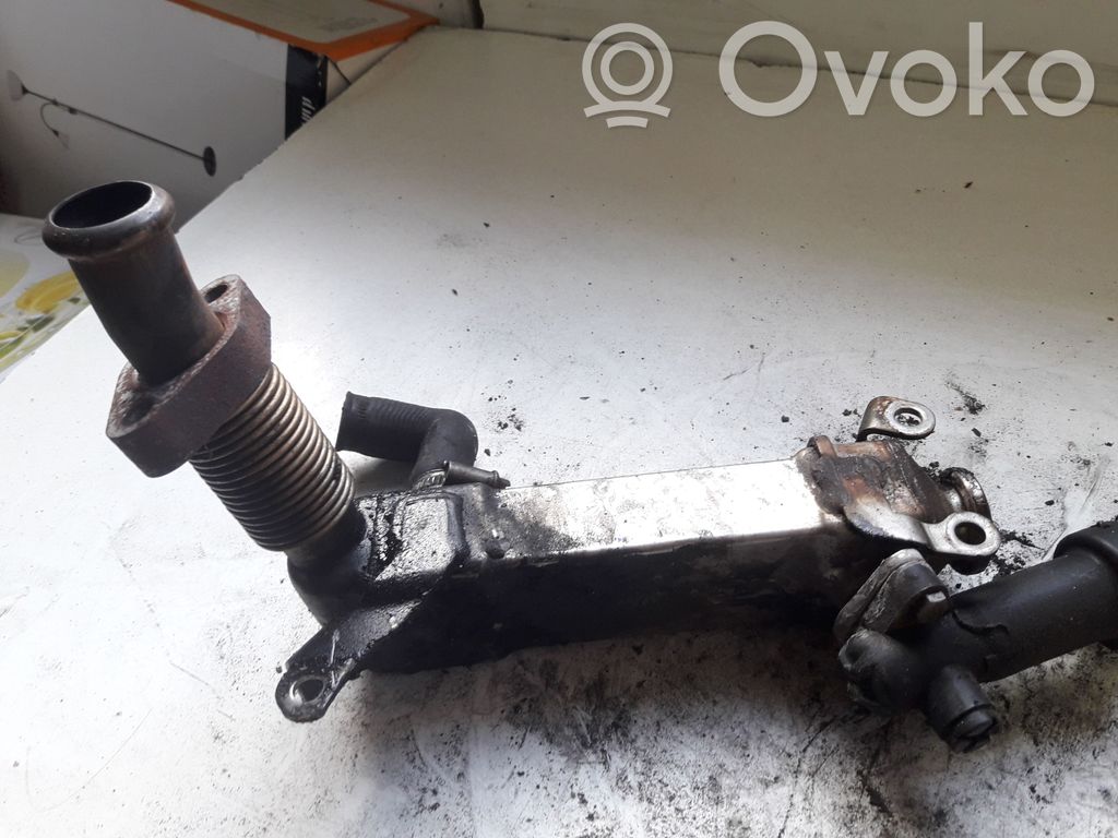 BMW 3 E90 E91 EGR aušintuvas 