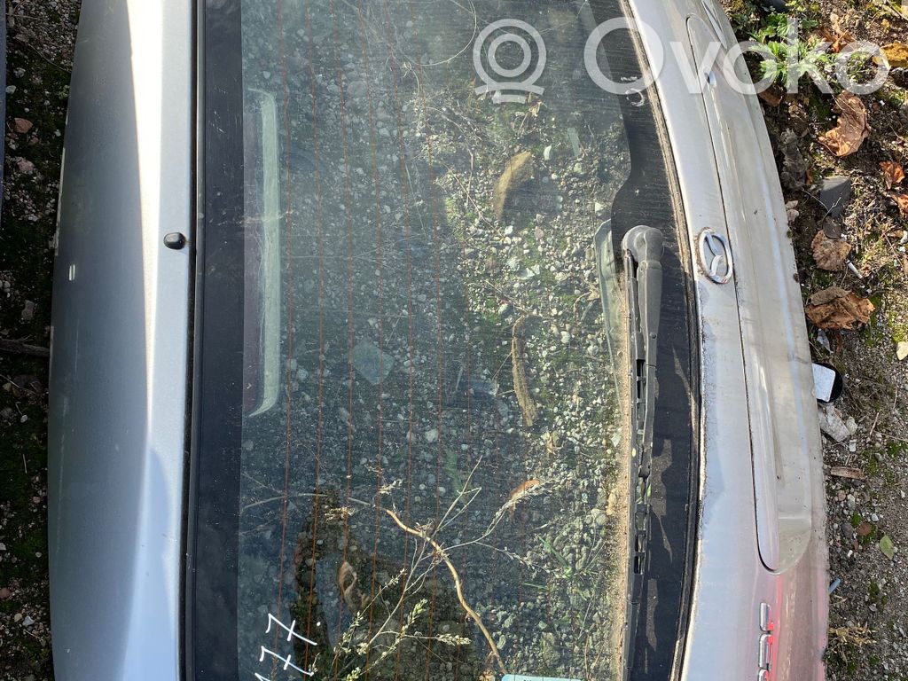 Tailgate/trunk/boot lid