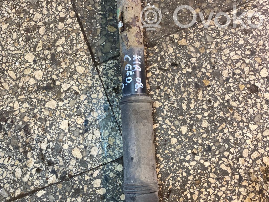 Rear shock absorber/damper