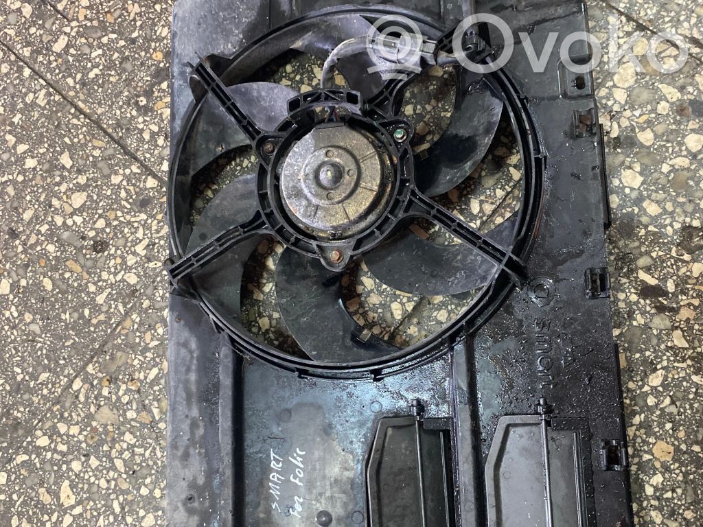 Smart ForFour I Elektrolüfter 