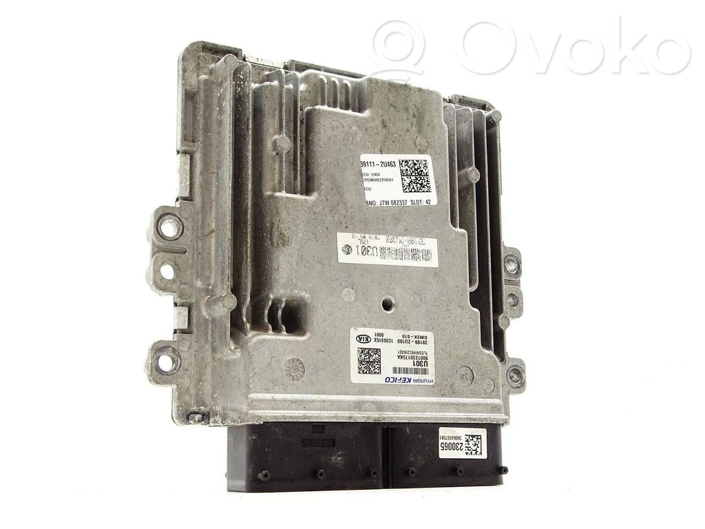 Engine control unit/module   391992U100,9001230175KA,1C06915X