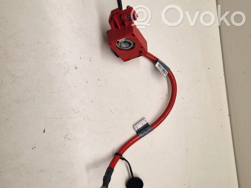 BMW 3 E90 E91 Pliusinis laidas (akumuliatoriaus) 