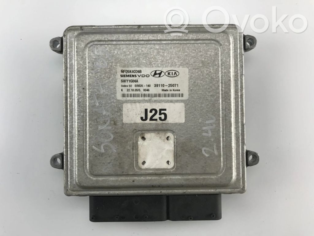 Hyundai Sonata Engine control unit/module 