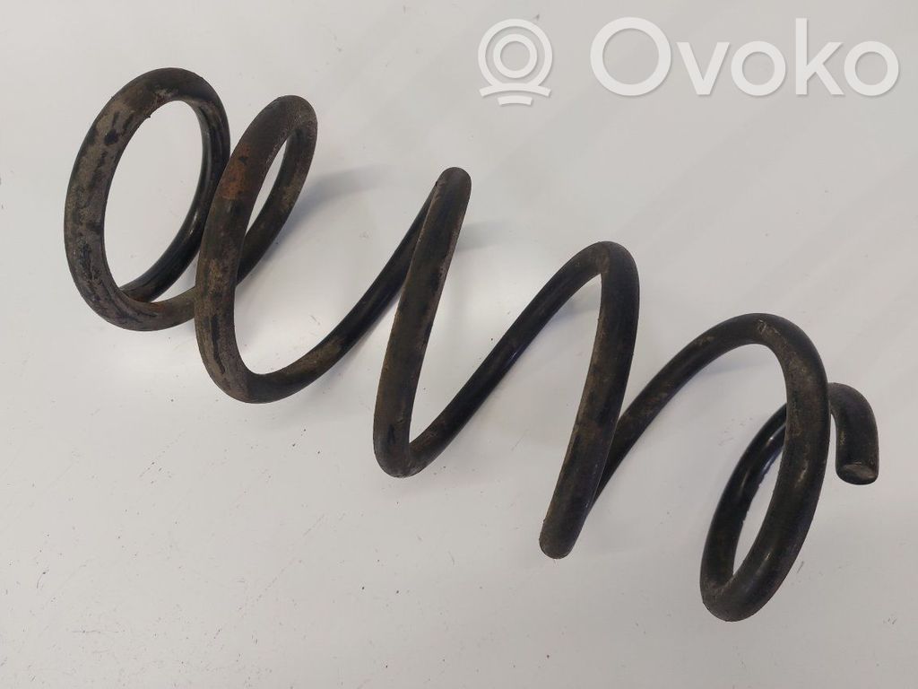 Rear coil spring