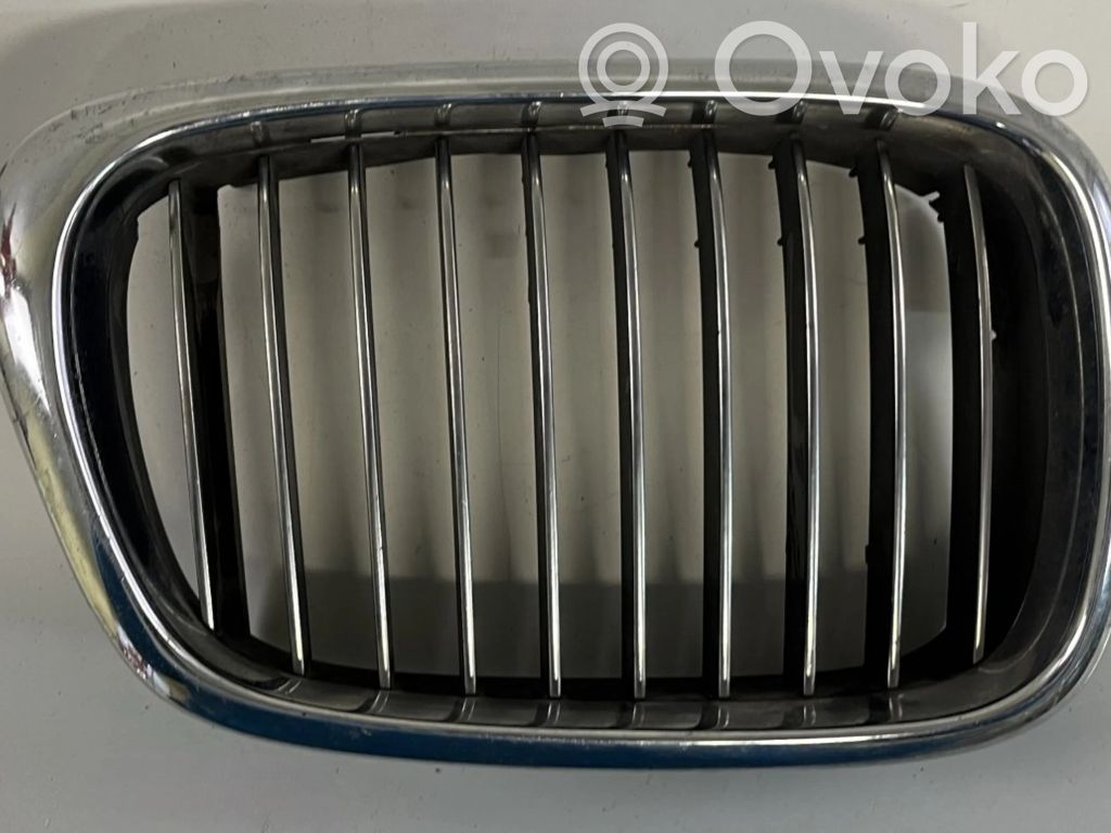 Front grill   2494066,2494066