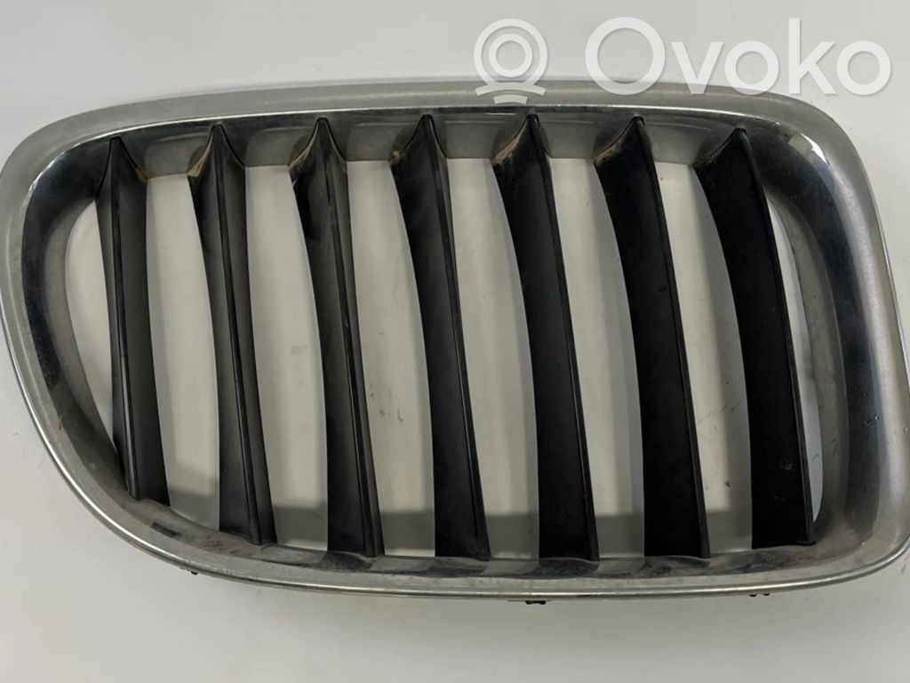BMW X1 E84 Front grill 