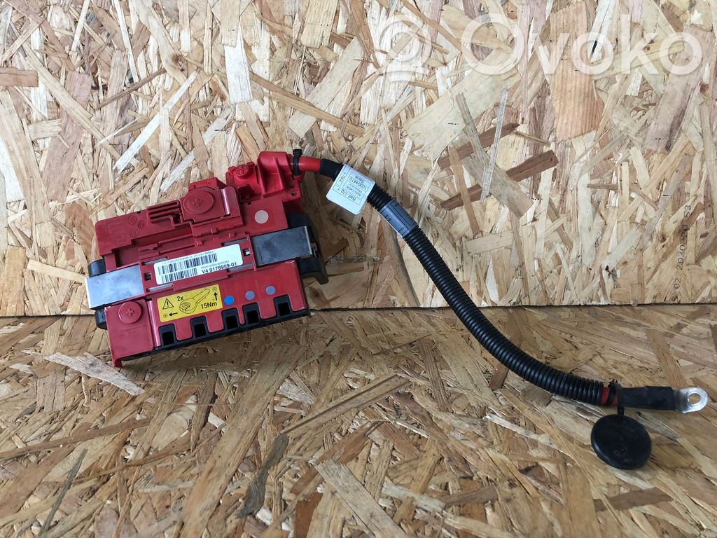 Pluskabel Batterie   4917895901,61149178959,67984910