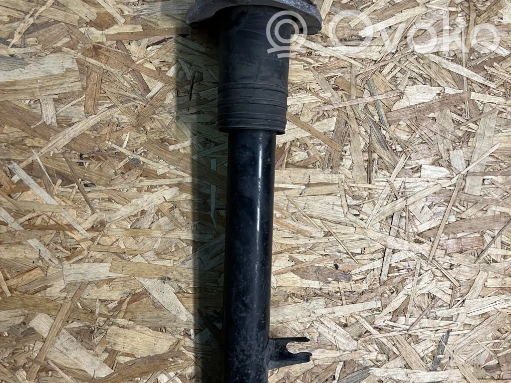 BMW X6 E71 Rear shock absorber/damper 