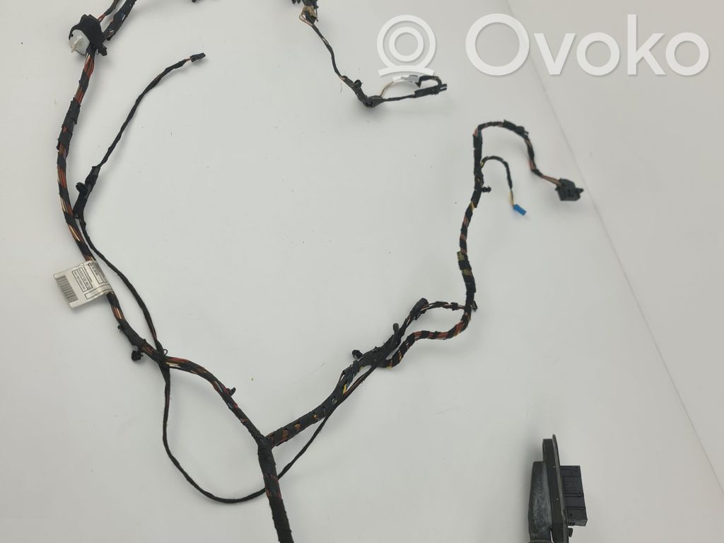 BMW X6 E71 Cableado de puerta delantera 