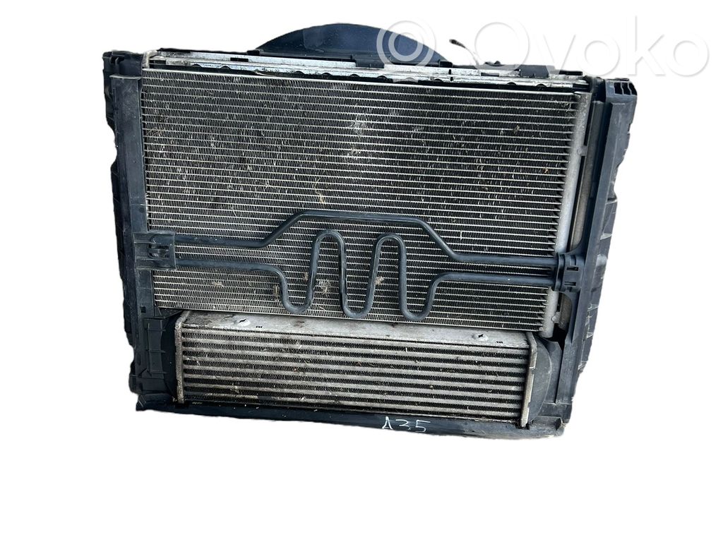 BMW X1 E84 Radiatora komplekts 