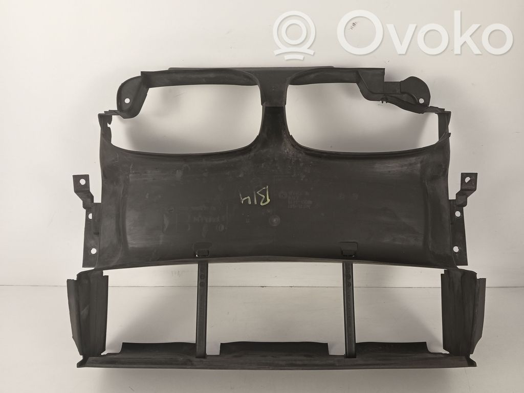 BMW 3 E46 Moldura del radiador 