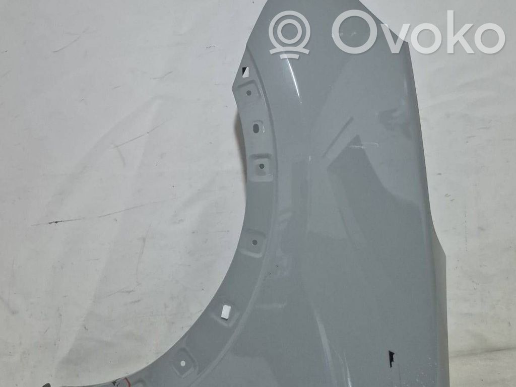 Fender   FORDPUMA