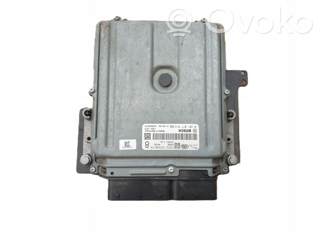 Engine control unit/module   12C520