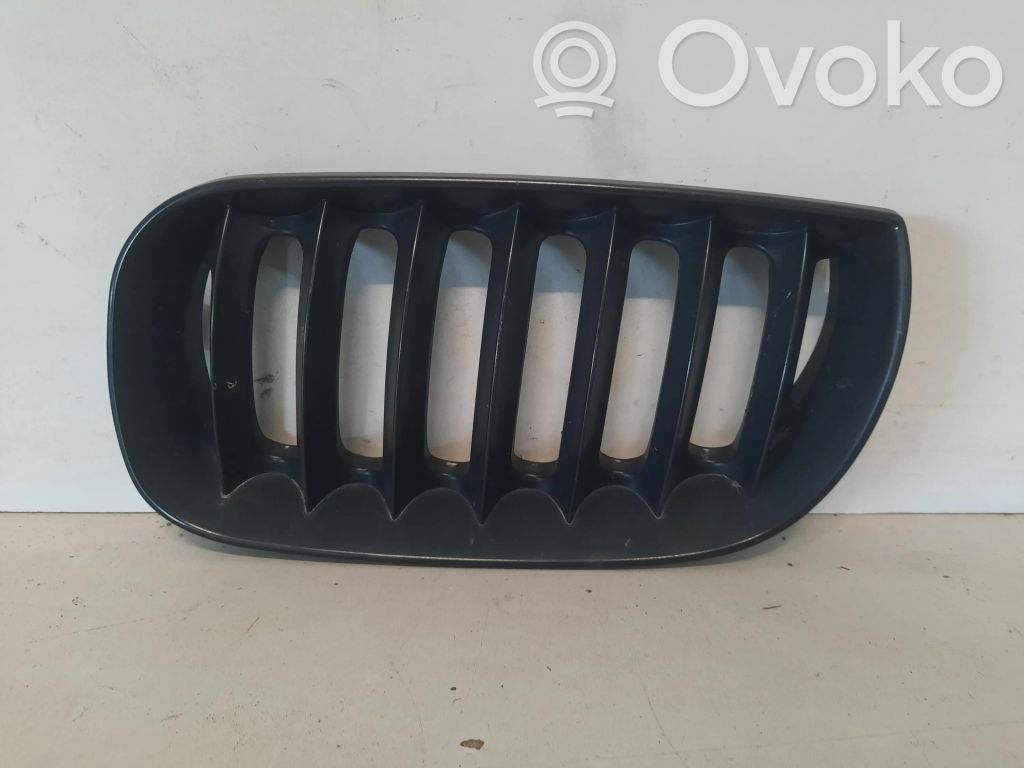 BMW X3 E83 Front grill 