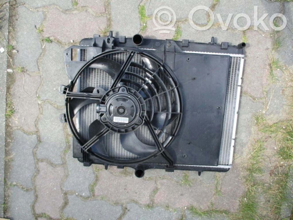 A/C cooling radiator (condenser)   P9685852680