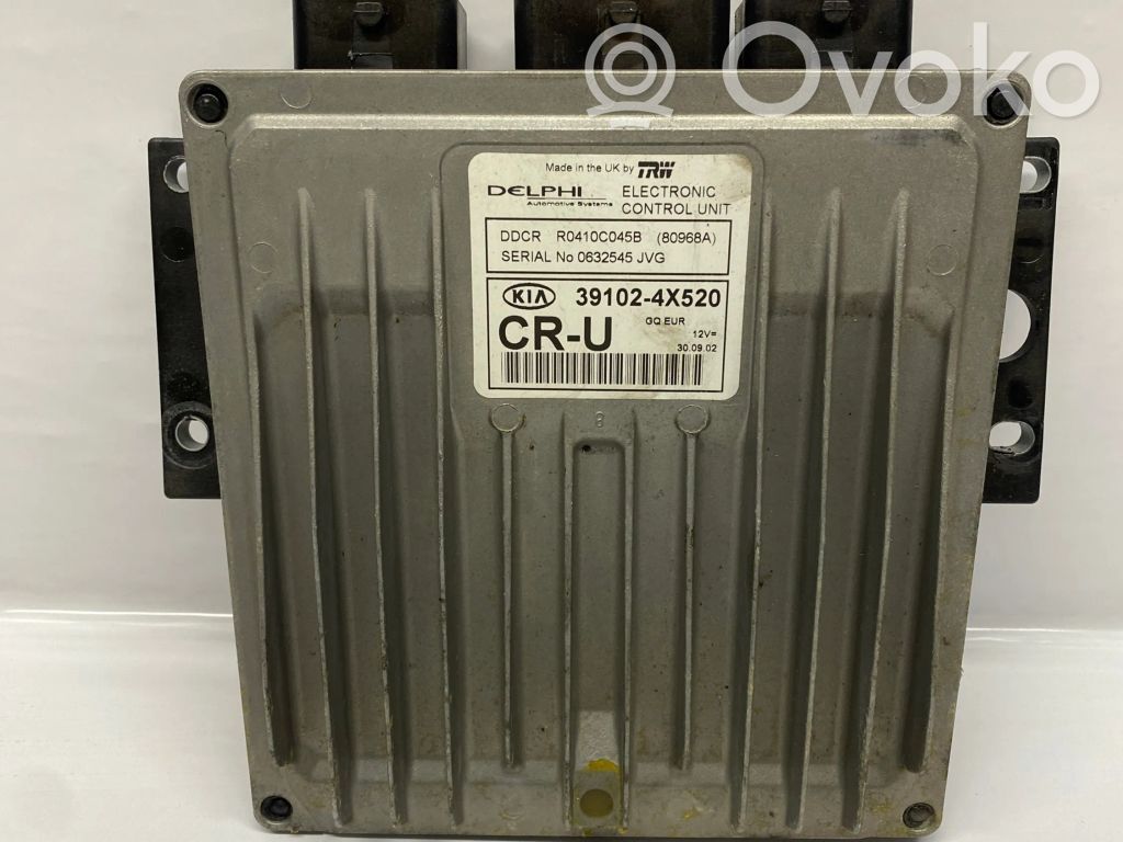 KIA Carnival Engine control unit/module 