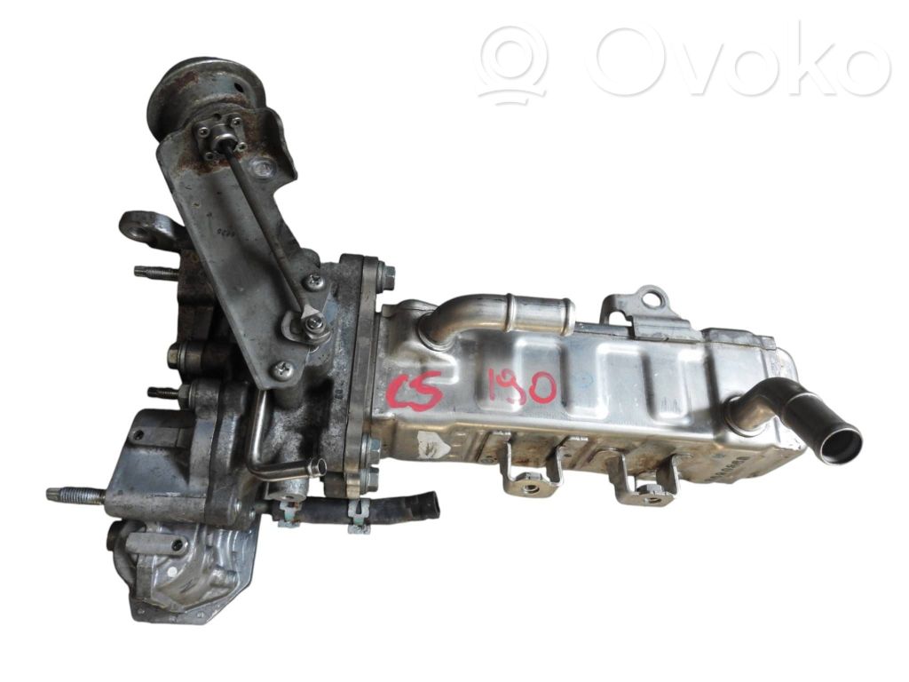 Zawór EGR   258000E010,309086B
