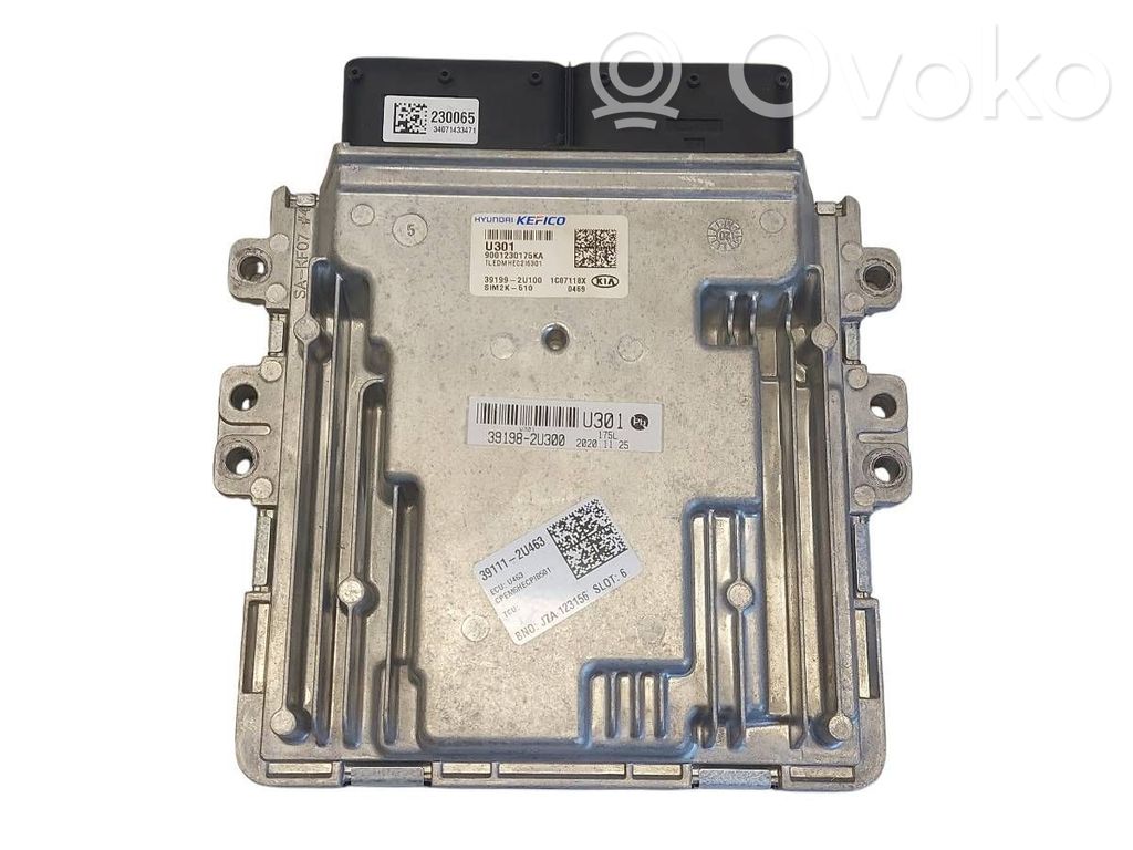 Engine ECU kit and lock set   391112U463