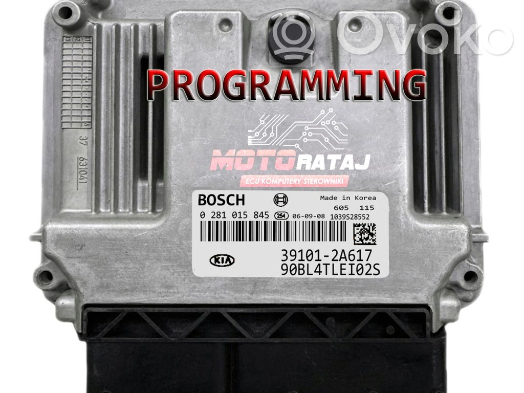 Engine control unit/module ECU   391012A617,391012A617,0281015845