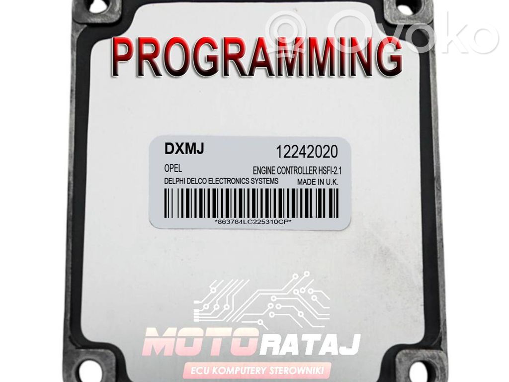 Engine control unit/module   12242020,DXMJ