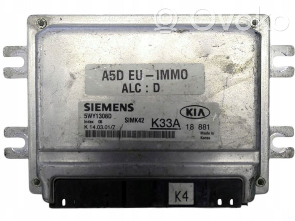 KIA Rio Engine control unit/module 