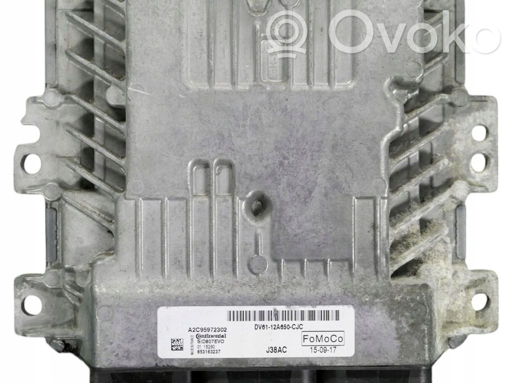 Ford Focus Engine control unit/module 