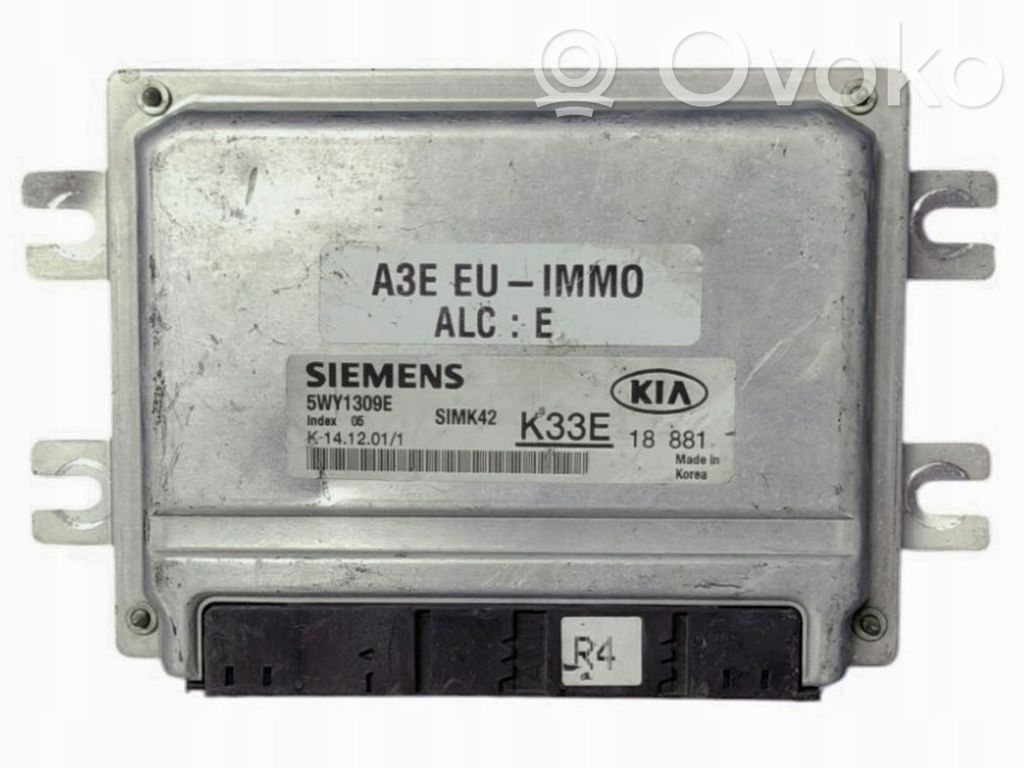 Engine control unit/module   5WY1309E,SIMK42